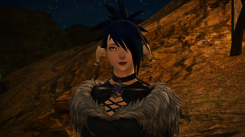 Understanding the Gates