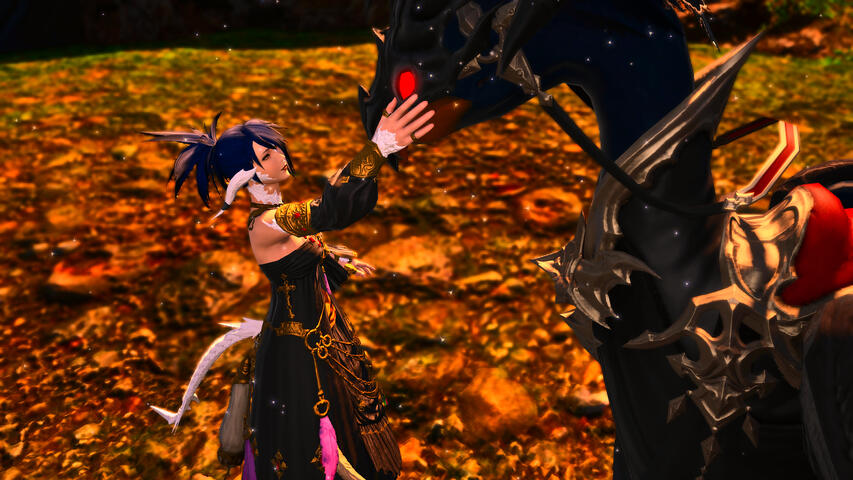 Petting Karasu again